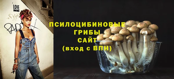 МДПВ Переславль-Залесский