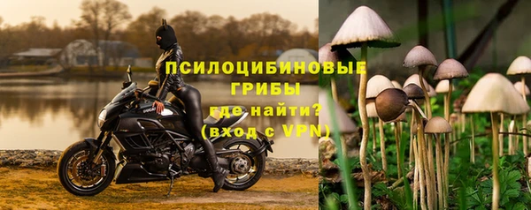 СК Абаза