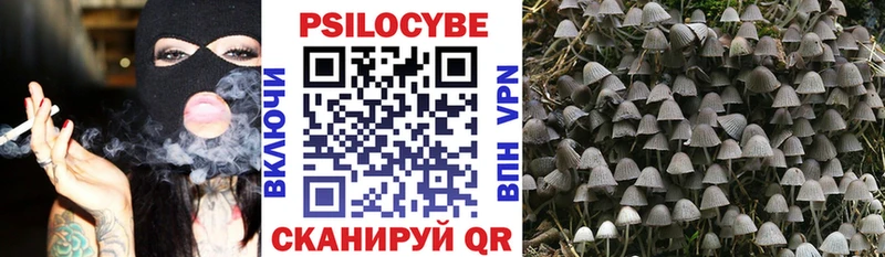 купить наркоту Десногорск Галлюциногенные грибы Psilocybe